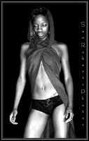 Model Portfolio